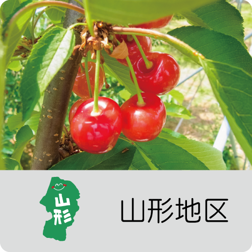 トップミュージック-カラオケマイム